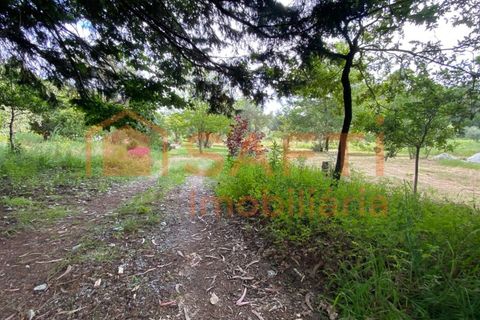 Villa i Ranhados, Viseu, Ranhados - € 600.000 | Ref: SAFTI:006878 - foto 12