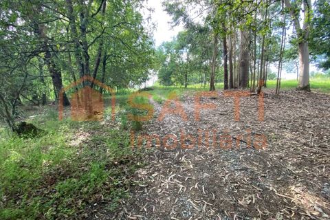 Villa i Ranhados, Viseu, Ranhados - € 600.000 | Ref: SAFTI:006878 - foto 13