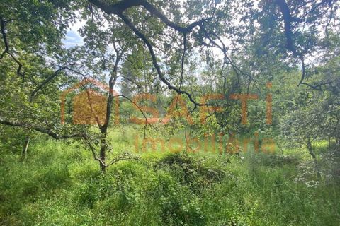 Villa i Ranhados, Viseu, Ranhados - € 600.000 | Ref: SAFTI:006878 - foto 14