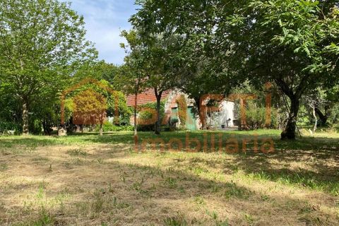 Villa i Ranhados, Viseu, Ranhados - € 600.000 | Ref: SAFTI:006878 - foto 16