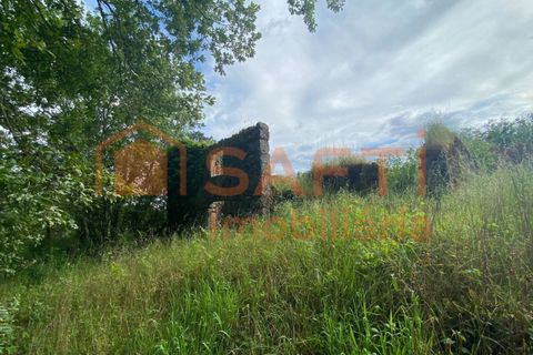 Villa i Ranhados, Viseu, Ranhados - € 600.000 | Ref: SAFTI:006878 - foto 19