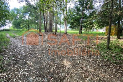 Villa i Ranhados, Viseu, Ranhados - € 600.000 | Ref: SAFTI:006878 - foto 20