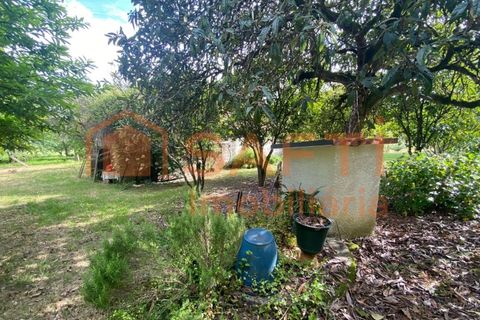 Villa i Ranhados, Viseu, Ranhados - € 600.000 | Ref: SAFTI:006878 - foto 24