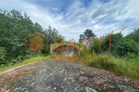 Villa i Ranhados, Viseu, Ranhados - € 600.000 | Ref: SAFTI:006878 - foto 27