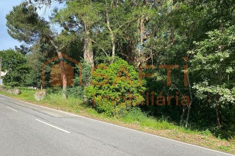 Villa i Ranhados, Viseu, Ranhados - € 600.000 | Ref: SAFTI:006878 - foto 29