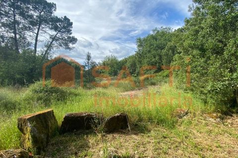 Villa i Ranhados, Viseu, Ranhados - € 600.000 | Ref: SAFTI:006878 - foto 31