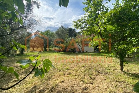 Villa i Ranhados, Viseu, Ranhados - € 600.000 | Ref: SAFTI:006878 - foto 32