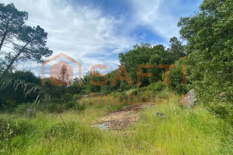 Villa i Ranhados, Viseu, Ranhados - € 600.000 | Ref: SAFTI:006878 - foto 34