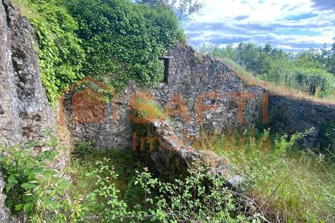 Villa i Ranhados, Viseu, Ranhados - € 600.000 | Ref: SAFTI:006878 - foto 35