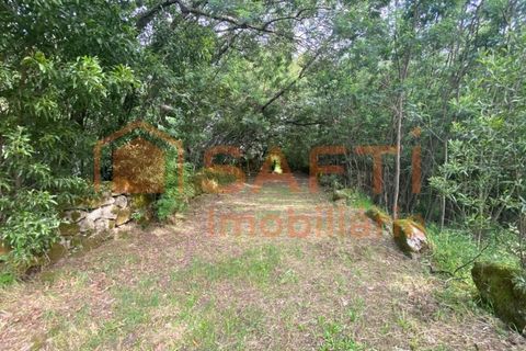 Villa i Ranhados, Viseu, Ranhados - € 600.000 | Ref: SAFTI:006878 - foto 38