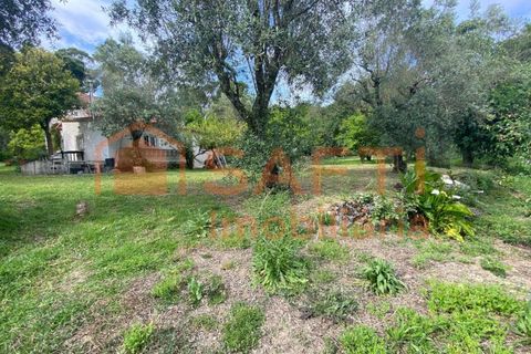 Villa i Ranhados, Viseu, Ranhados - € 600.000 | Ref: SAFTI:006878 - foto 39
