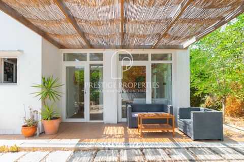 Landejendom i Benimussa, Ibiza, Benimussa - € 1.495.000 | Ref: 7636 - foto 37