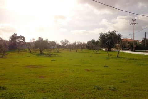 Helårsgrund i Almancil, Faro, Almancil - € 1.500.000 | Ref: AP041/2022 - foto 3