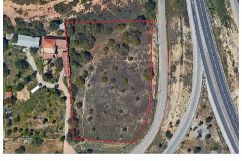 Helårsgrund i Almancil, Faro, Almancil - € 3.200.000 | Ref: AP030/2022 - foto 10