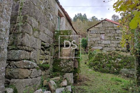 Villa i Baiao, Porto, Baiao - € 29.990 | Ref: DSPMARCODECANAVEZESACP179 - foto 4