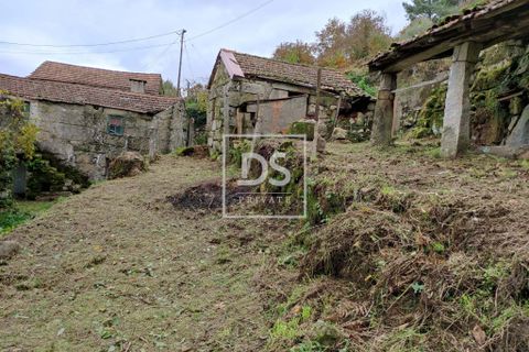 Villa i Baiao, Porto, Baiao - € 29.990 | Ref: DSPMARCODECANAVEZESACP179 - foto 6