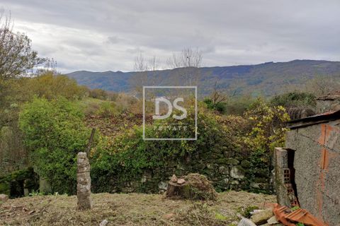 Villa i Baiao, Porto, Baiao - € 29.990 | Ref: DSPMARCODECANAVEZESACP179 - foto 12