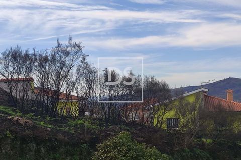 Helårsgrund i Ancede e Ribadouro, Porto, Ancede e Ribadouro - € 27.000 | Ref: DSPMCANAVSN5 - foto 3