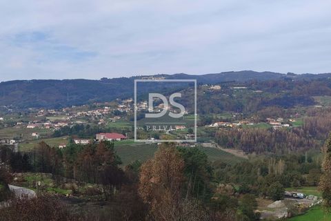 Helårsgrund i Ancede e Ribadouro, Porto, Ancede e Ribadouro - € 27.000 | Ref: DSPMCANAVSN5 - foto 4