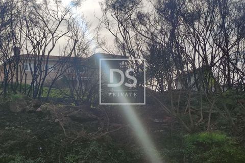 Helårsgrund i Ancede e Ribadouro, Porto, Ancede e Ribadouro - € 27.000 | Ref: DSPMCANAVSN5 - foto 5