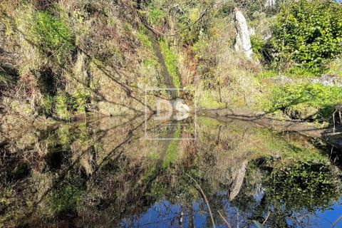 Villa i Baiao, Porto, Baiao - € 36.150 | Ref: DSPMCANAV9 - foto 6