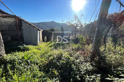 Villa i Baiao, Porto, Baiao - € 36.150 | Ref: DSPMCANAV9 - foto 8