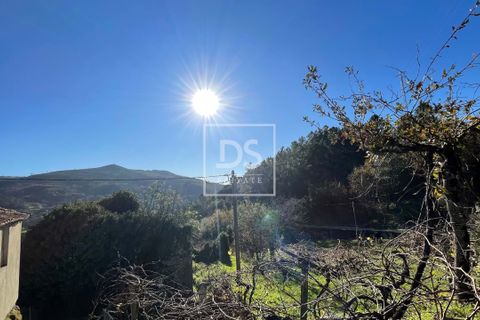 Villa i Baiao, Porto, Baiao - € 36.150 | Ref: DSPMCANAV9 - foto 11