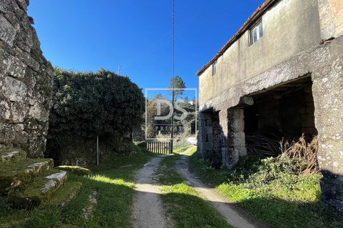 Villa i Baiao, Porto, Baiao - € 36.150 | Ref: DSPMCANAV9 - foto 12