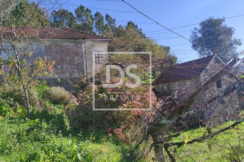 Villa i Baiao, Porto, Baiao - € 95.000 | Ref: DSPMCANAVSN9 - foto 12
