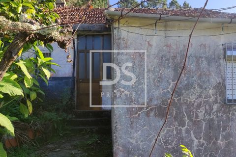 Villa i Baiao, Porto, Baiao - € 95.000 | Ref: DSPMCANAVSN9 - foto 14