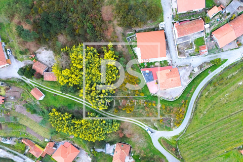 Helårsgrund i Baiao, Porto, Baiao - € 20.000 | Ref: DSPMCANAV24 - foto 1