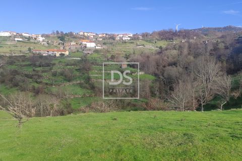 Tomt i Loivos do Monte, Porto, Loivos do Monte - € 75 000 | Ref: DSPMCANAVSN15 - foto 2