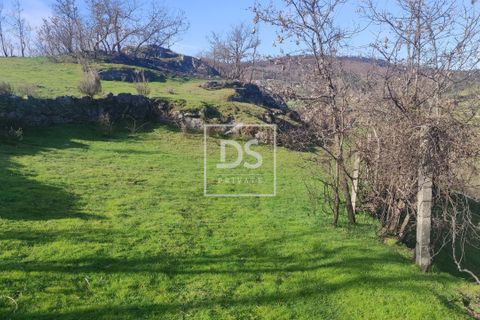 Tomt i Loivos do Monte, Porto, Loivos do Monte - € 75 000 | Ref: DSPMCANAVSN15 - foto 5