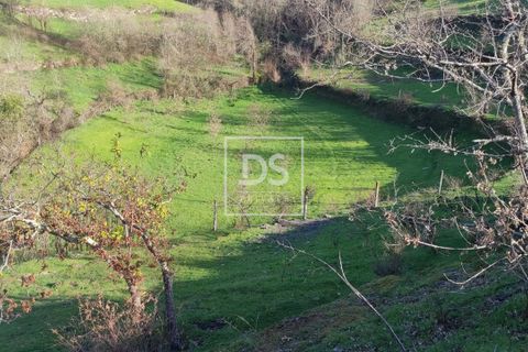 Tomt i Loivos do Monte, Porto, Loivos do Monte - € 75 000 | Ref: DSPMCANAVSN15 - foto 6