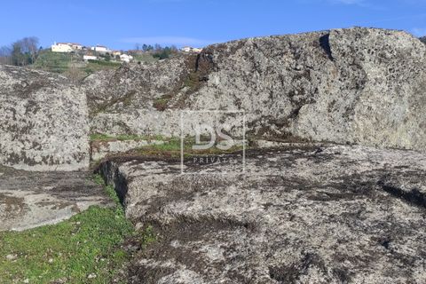 Tomt i Loivos do Monte, Porto, Loivos do Monte - € 75 000 | Ref: DSPMCANAVSN15 - foto 8