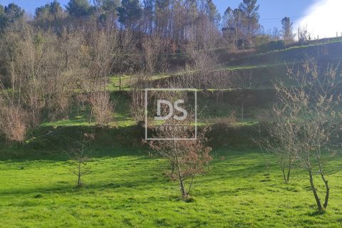 Tomt i Loivos do Monte, Porto, Loivos do Monte - € 75 000 | Ref: DSPMCANAVSN15 - foto 9