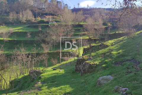 Tomt i Loivos do Monte, Porto, Loivos do Monte - € 75 000 | Ref: DSPMCANAVSN15 - foto 11