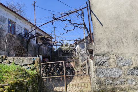 Villa a Baiao, Porto, Baiao - € 59.000 | Ref: DSPMCANAVSN16 - foto 10