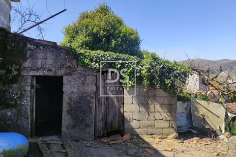 Villa a Baiao, Porto, Baiao - € 59.000 | Ref: DSPMCANAVSN16 - foto 11