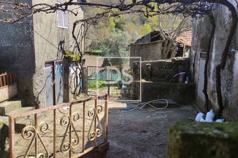 Villa a Baiao, Porto, Baiao - € 59.000 | Ref: DSPMCANAVSN16 - foto 15