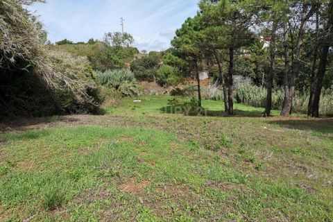Helårsgrund i Alcobaca, Leiria, Alcobaca - € 25.000 | Ref: 0563-01649 - foto 2