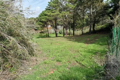 Helårsgrund i Alcobaca, Leiria, Alcobaca - € 25.000 | Ref: 0563-01649 - foto 8