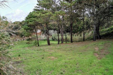 Helårsgrund i Alcobaca, Leiria, Alcobaca - € 25.000 | Ref: 0563-01649 - foto 12