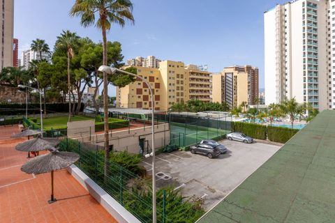 Studio i Benidorm, Alicante, Benidorm - € 145 000 | Ref: GHP0283 - foto 13