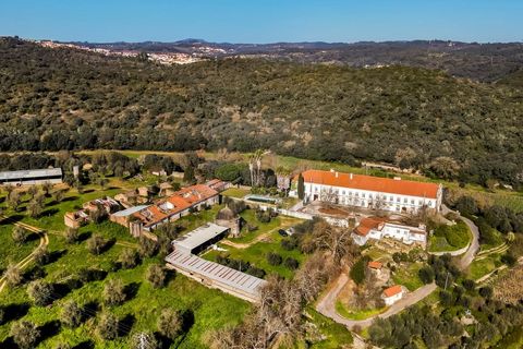 Farm i Tomar, Santarem, Tomar - € 7.000.000 | Ref: SAVLBN1221 - foto 2