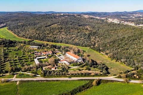 Farm i Tomar, Santarem, Tomar - € 7.000.000 | Ref: SAVLBN1221 - foto 28