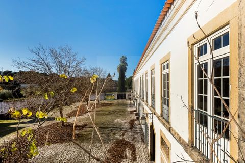 Farm i Tomar, Santarem, Tomar - € 7.000.000 | Ref: SAVLBN1221 - foto 22