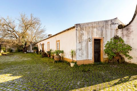 Farm i Tomar, Santarem, Tomar - € 7.000.000 | Ref: SAVLBN1221 - foto 25