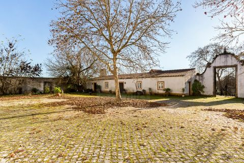 Farm i Tomar, Santarem, Tomar - € 7.000.000 | Ref: SAVLBN1221 - foto 26