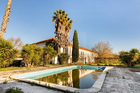 Farm i Tomar, Santarem, Tomar - € 7.000.000 | Ref: SAVLBN1221 - foto 23